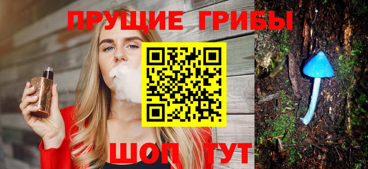 где купить   Вход с VPN  Гусь-Хрустальный  Псилоцибиновые грибы Magic Shrooms 